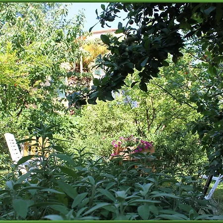 Holiday home Il Giardino Segreto Lerici