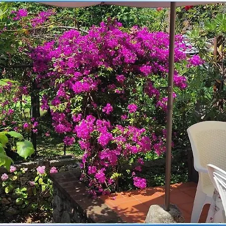 Holiday home Il Giardino Segreto *